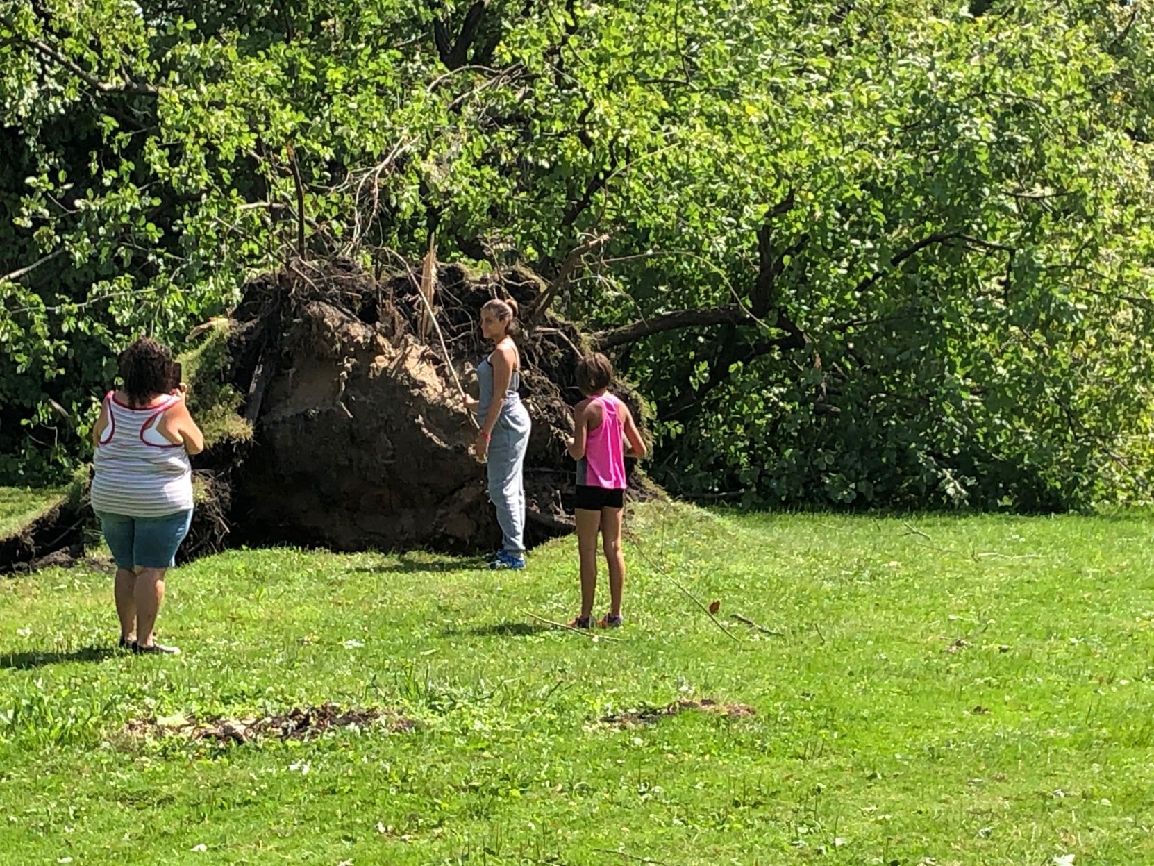 Tuesday storm damage